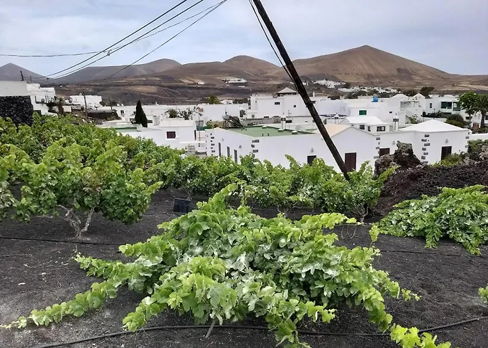 Numero28,casa Tilama * Uga